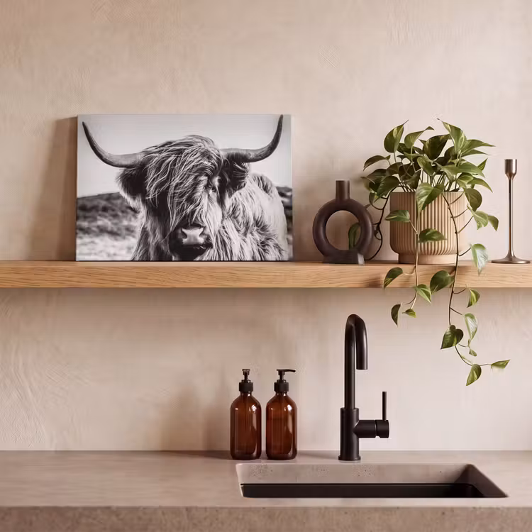 Koe - Schotse hooglander - Zwart - Wit - Dier - Natuur - Wild canvas 2cm klein -sfeer3