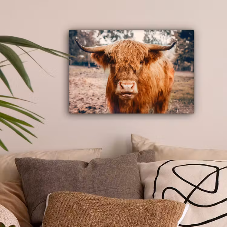 Koe- Schotse hooglander - Hoorns - Bruin - Landschap canvas 2cm klein -sfeer1
