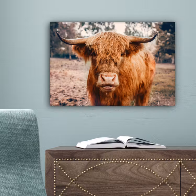 Koe- Schotse hooglander - Hoorns - Bruin - Landschap canvas 2cm klein -sfeer4