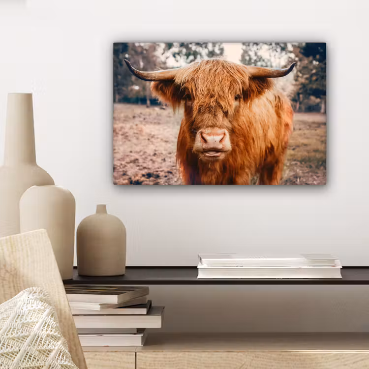 Koe- Schotse hooglander - Hoorns - Bruin - Landschap canvas 2cm klein -sfeer6