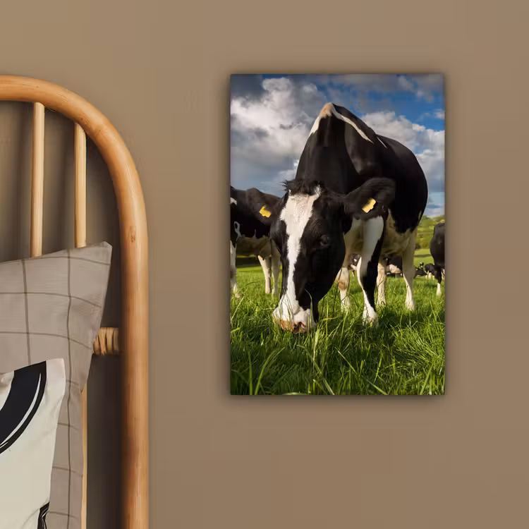 Koeien - Dieren - Gras - Weiland - Boerderij canvas 2cm klein -sfeer3