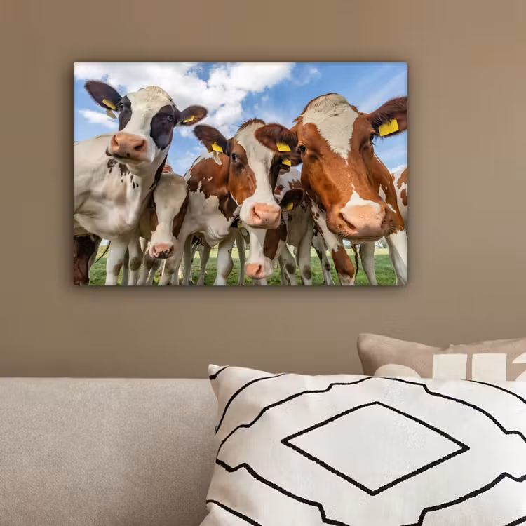 Koeien - Dieren - Weiland - Natuur canvas 2cm klein -sfeer3