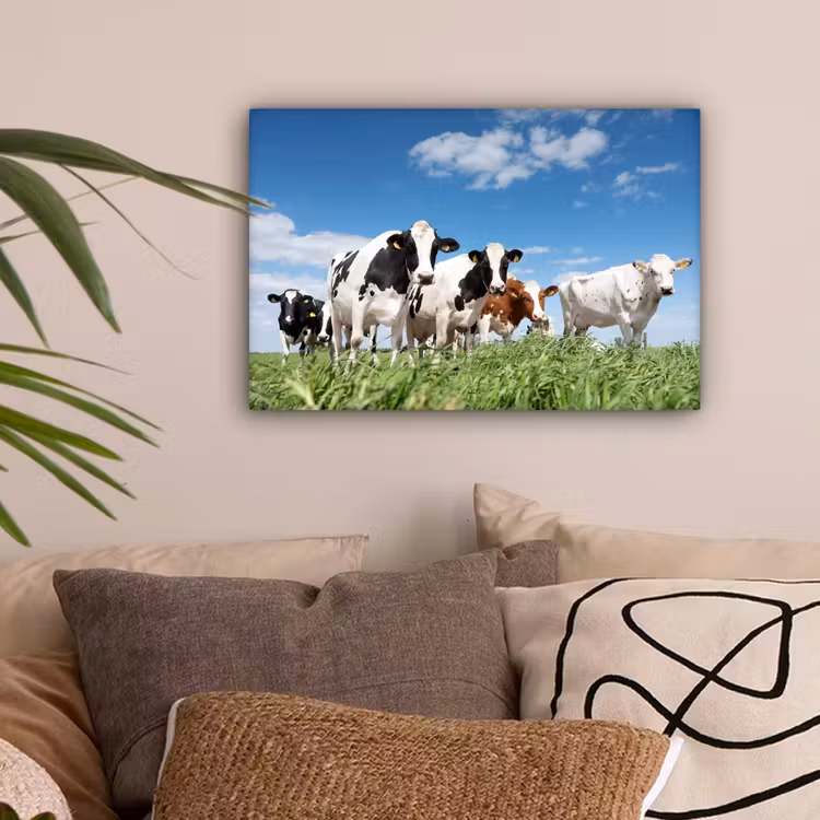 Koeien - Platteland - Weiland - Natuur - Dieren canvas 2cm klein -sfeer1
