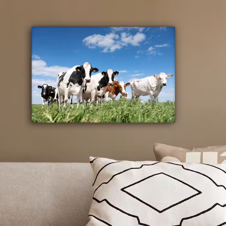 Koeien - Platteland - Weiland - Natuur - Dieren canvas 2cm klein -sfeer3