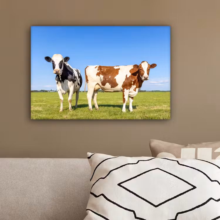 Koeien - Boerderij - Gras- Natuur - Dieren canvas 2cm klein -sfeer3