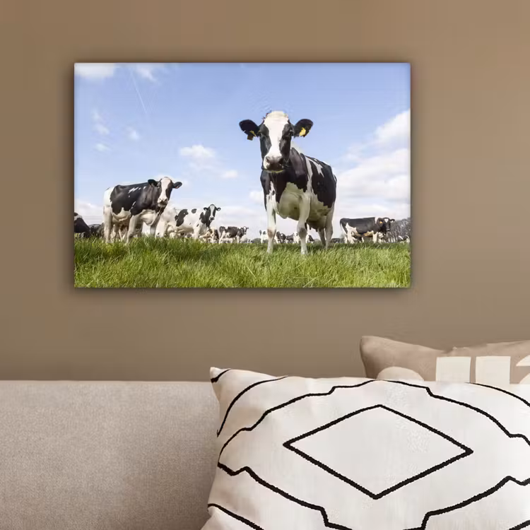 Koeien - Gras - Dieren - Zon - Boerderij canvas 2cm klein -sfeer3