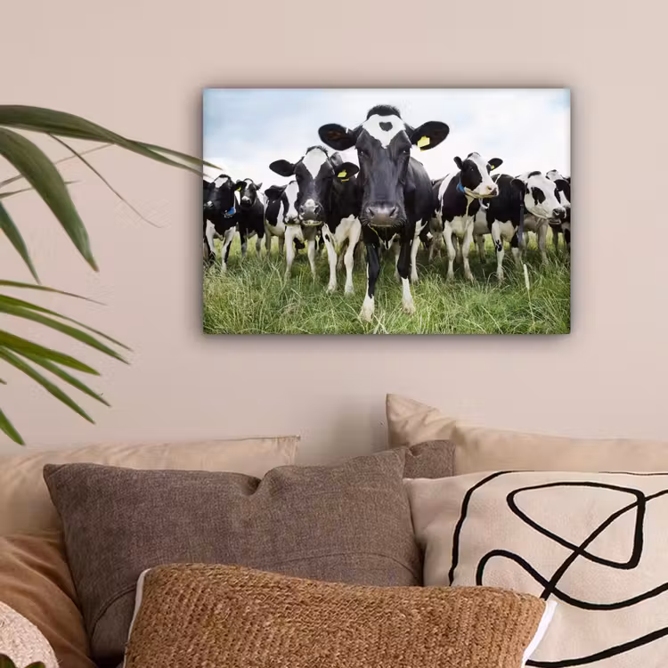 Koeien - Gras - Lente - Dieren - Weiland - Boerderij canvas 2cm klein -sfeer1