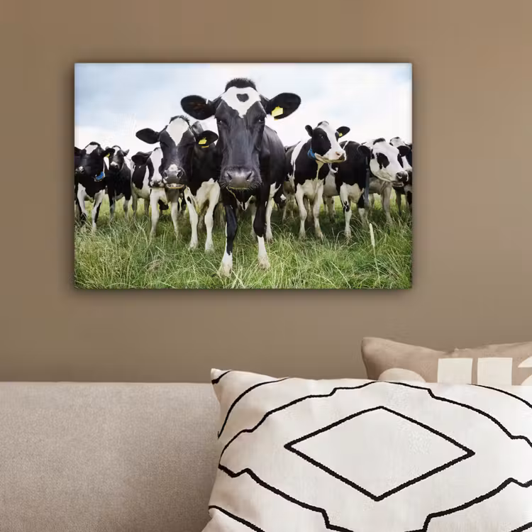 Koeien - Gras - Lente - Dieren - Weiland - Boerderij canvas 2cm klein -sfeer3