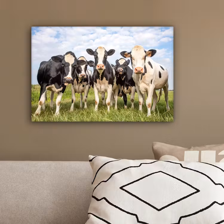 Koeien - Weiland - Dieren - Natuur - Gras canvas 2cm klein -sfeer3