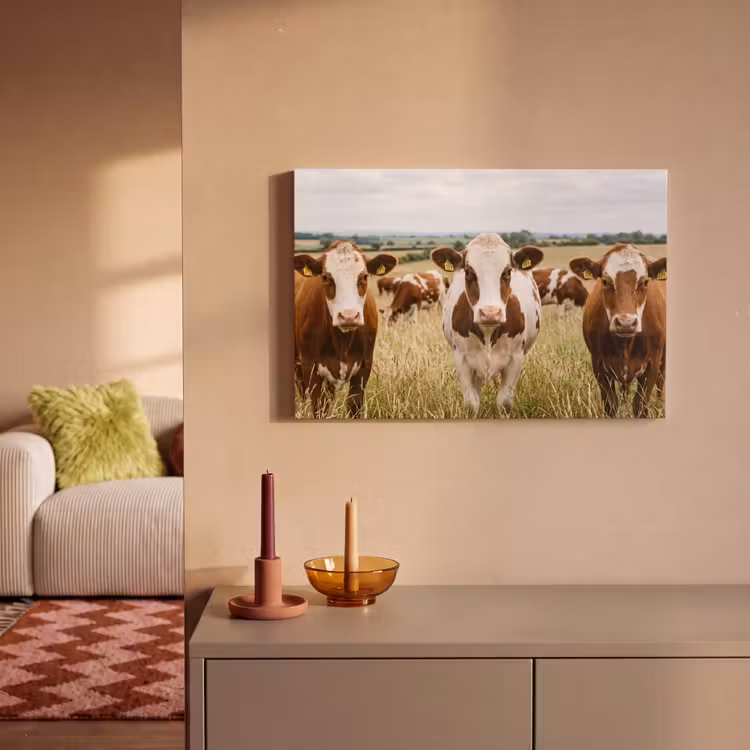 Koeien - Portret - Weide - Boerderij - Nieuwsgierig canvas 2cm klein -sfeer1