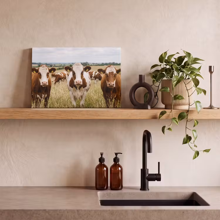Koeien - Portret - Weide - Boerderij - Nieuwsgierig canvas 2cm klein -sfeer3