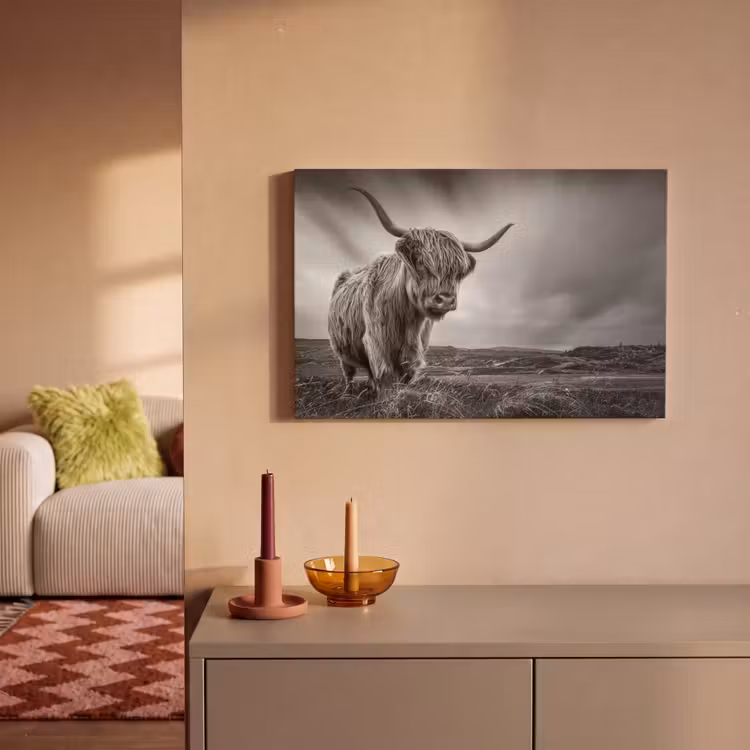 Koeien - Schotse hooglander - Natuur - Dieren - Zwart wit canvas 2cm klein -sfeer1