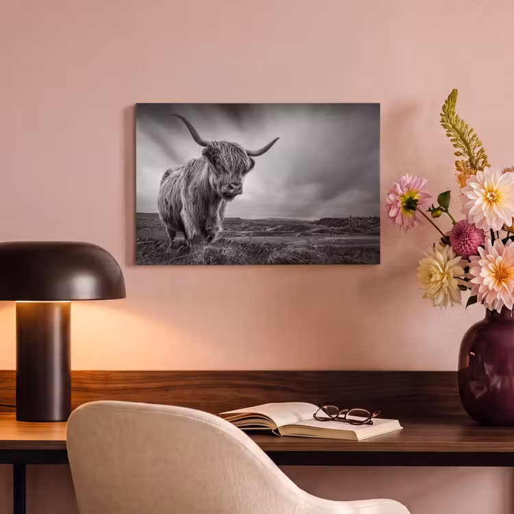 Koeien - Schotse hooglander - Natuur - Dieren - Zwart wit canvas 2cm klein -sfeer4