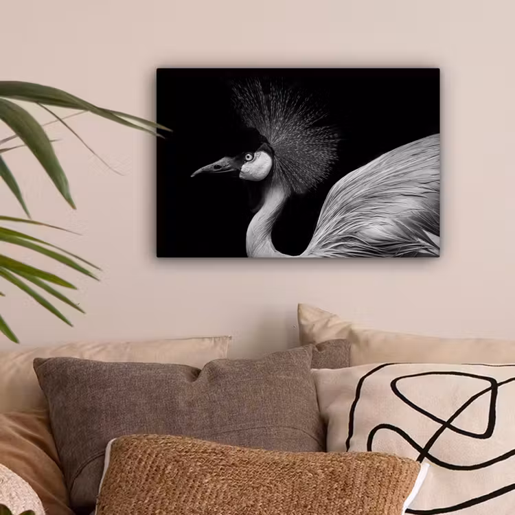Kraanvogel - Zwart - Wit - Vogel - Dieren canvas 2cm klein -sfeer1