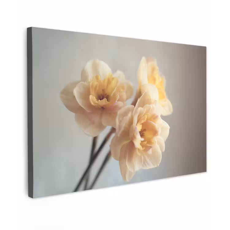 Narcissen - Geel - Bloemblaadjes canvas 2cm klein -z3d