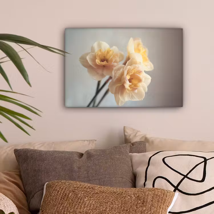 Narcissen - Geel - Bloemblaadjes canvas 2cm klein -sfeer1