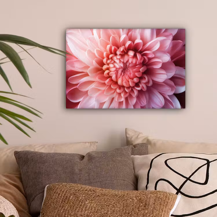 Dahlia - Bloem - Close up - Roze canvas 2cm klein -sfeer1