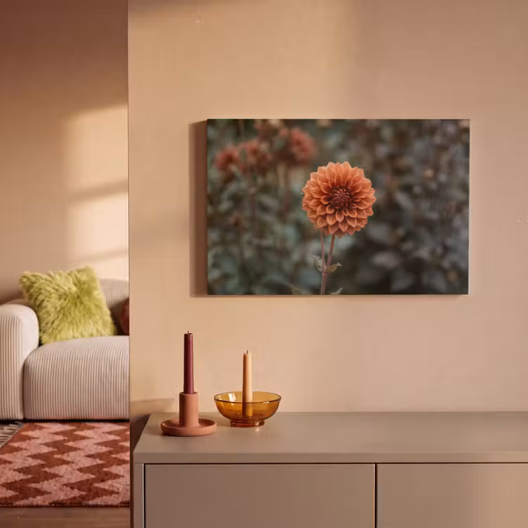 Dahlia - Bloem - Natuur - Sfeervol canvas 2cm klein -sfeer1