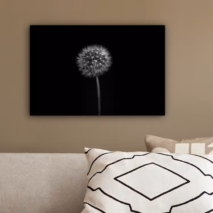 Paardenbloem - Zwart - Bloemen - Botanisch canvas 2cm klein -sfeer3
