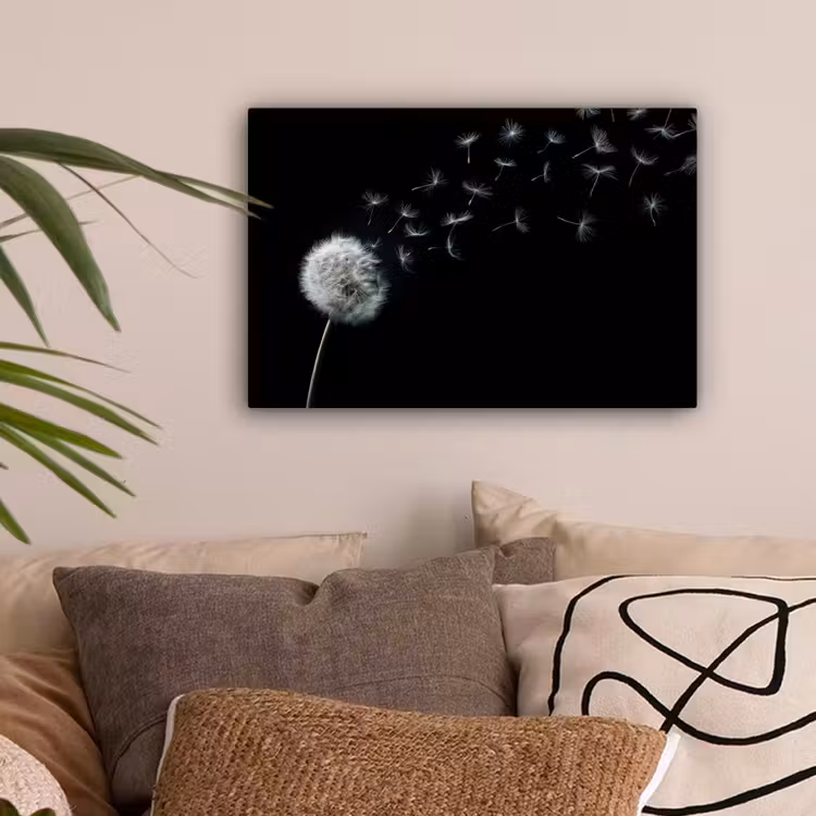 Paardenbloem - Zwart - Natuur canvas 2cm klein -sfeer1
