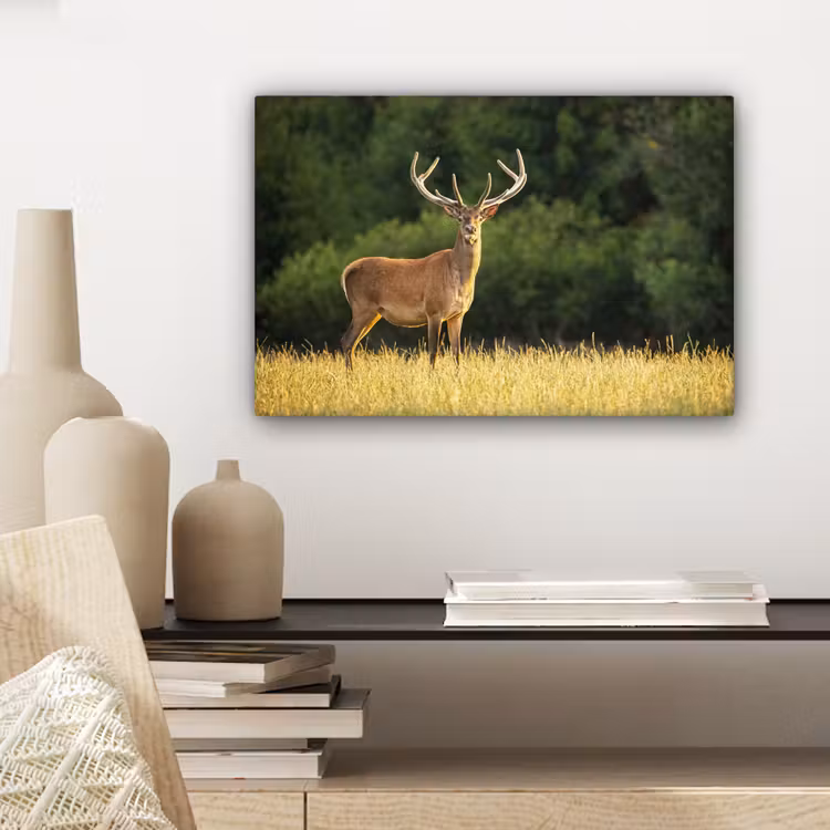 Hert - Gewei - Gras - Natuur - Dieren - Groen canvas 2cm klein -sfeer6