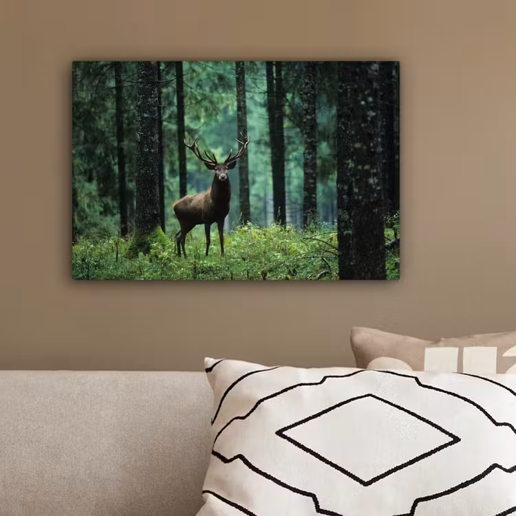 Hert - Bos - Bomen - Dieren - Natuur canvas 2cm klein -sfeer3