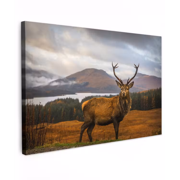 Hert - Berg - Water - Landschap - Dieren - Bomen canvas 2cm klein -z3d