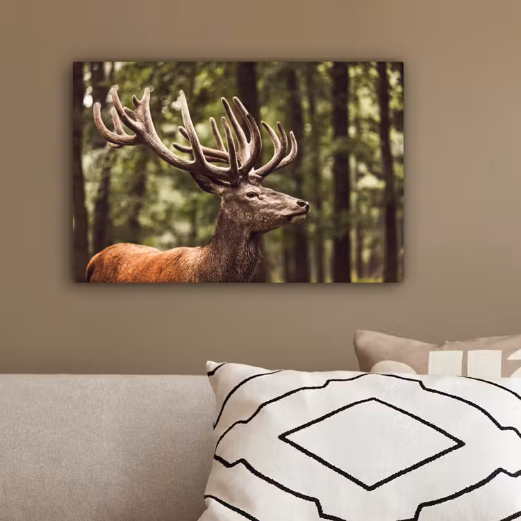 Hert - Natuur - Gewei - Bos - Dieren canvas 2cm klein -sfeer3