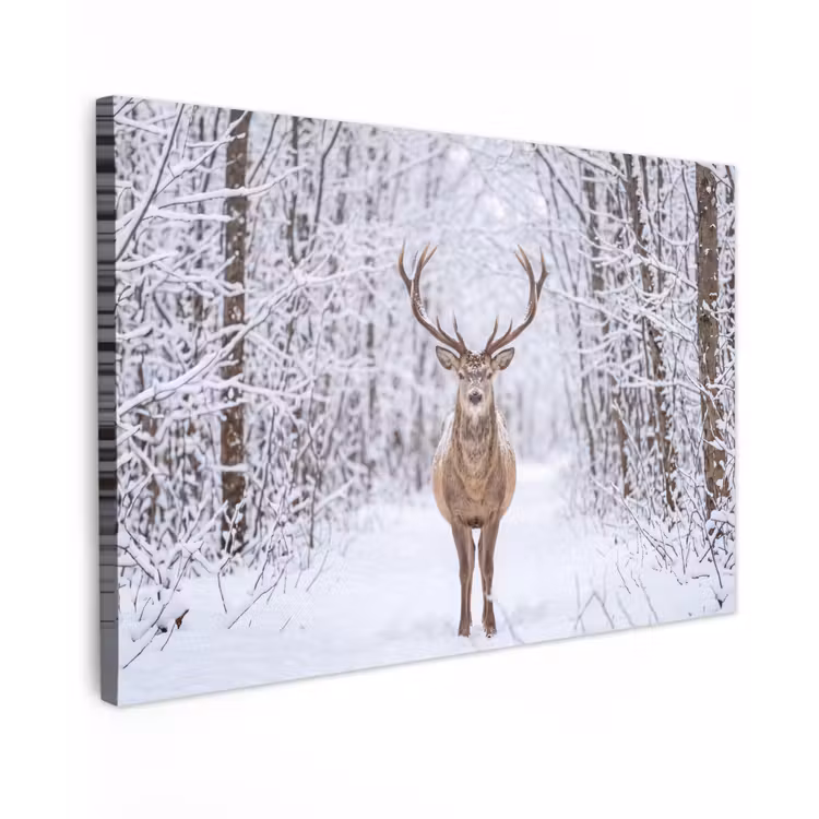 Hert - Winter - Bos - Natuur - Wit canvas 2cm klein -z3d
