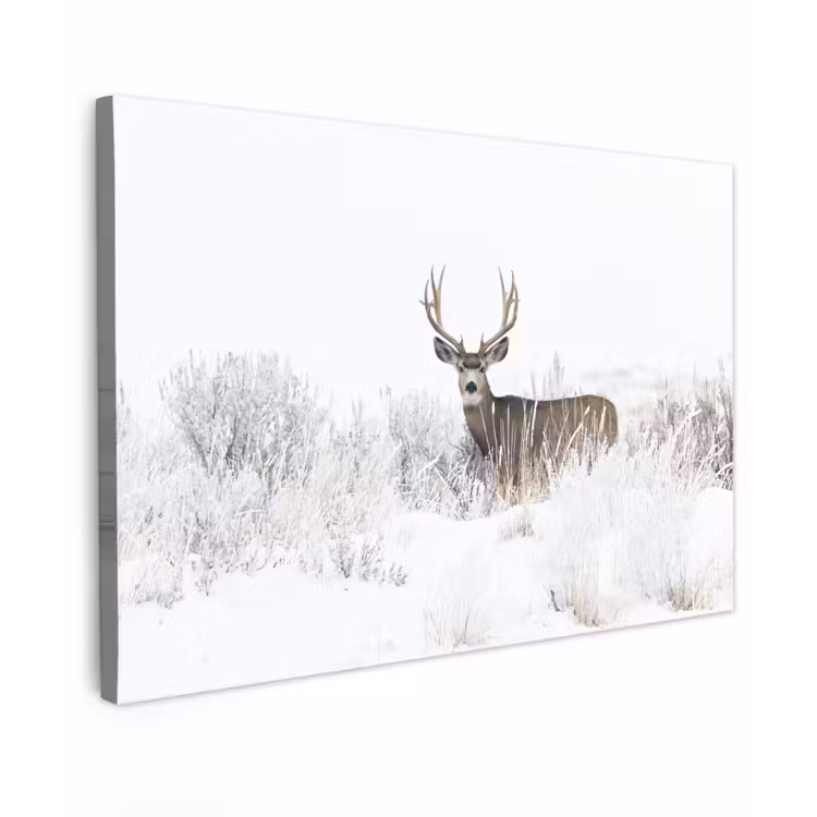 Hert - Winter - Sneeuw - Dieren - Seizoenen - Wit canvas 2cm klein -z3d