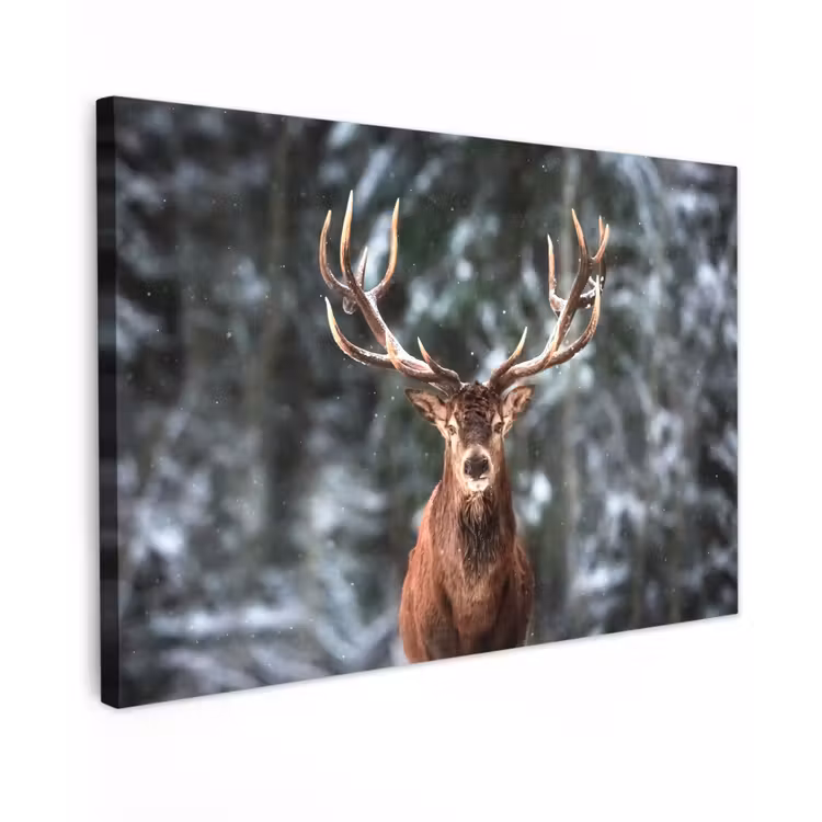 Hert - Winter - Sneeuw - Bos - Natuur - Dier canvas 2cm klein -z3d