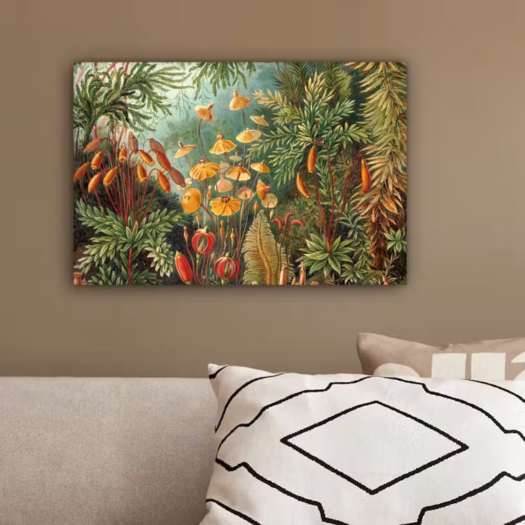Design - Natuur - Paddenstoelen - Ernst Haeckel canvas 2cm klein -sfeer3