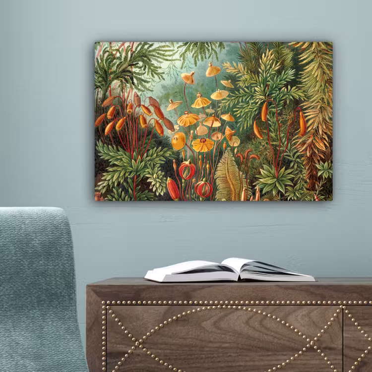 Design - Natuur - Paddenstoelen - Ernst Haeckel canvas 2cm klein -sfeer4