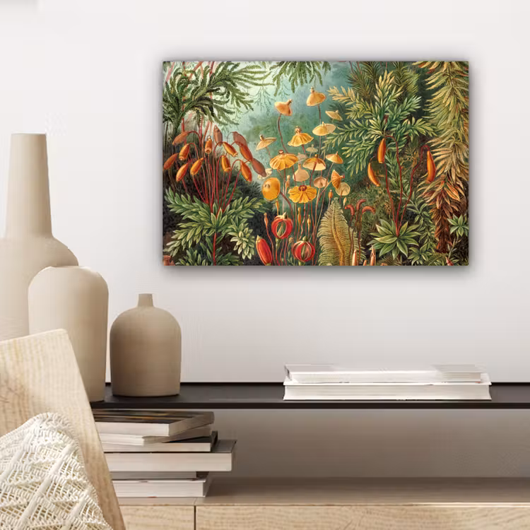 Design - Natuur - Paddenstoelen - Ernst Haeckel canvas 2cm klein -sfeer6