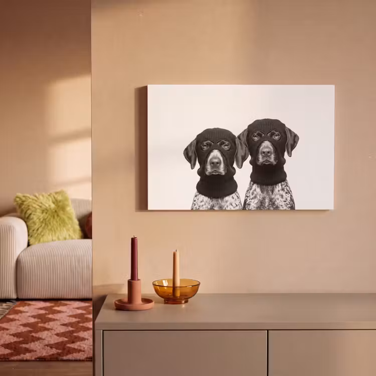 Honden - Bivakmuts - Zwart - wit canvas 2cm klein -sfeer1