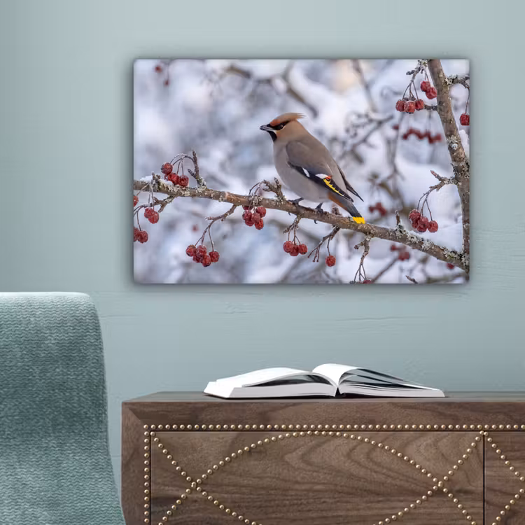 Pestvogel - Bessen - Winter - Natuur canvas 2cm klein -sfeer4