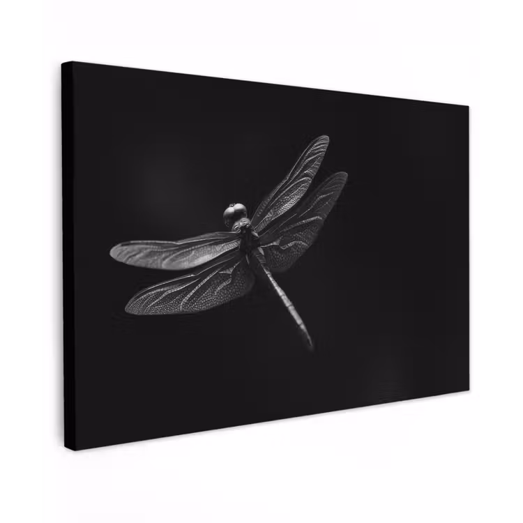 Libelle - Dieren - Zwart - Insect canvas 2cm klein -z3d