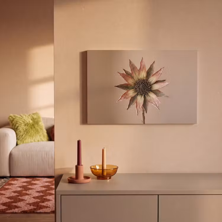 Droogbloem - Protea - Vintage - Beige - Rustiek canvas 2cm klein -sfeer1