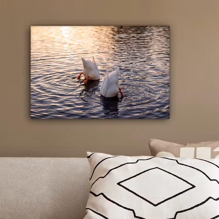 Eenden - Water - Natuur canvas 2cm klein -sfeer3