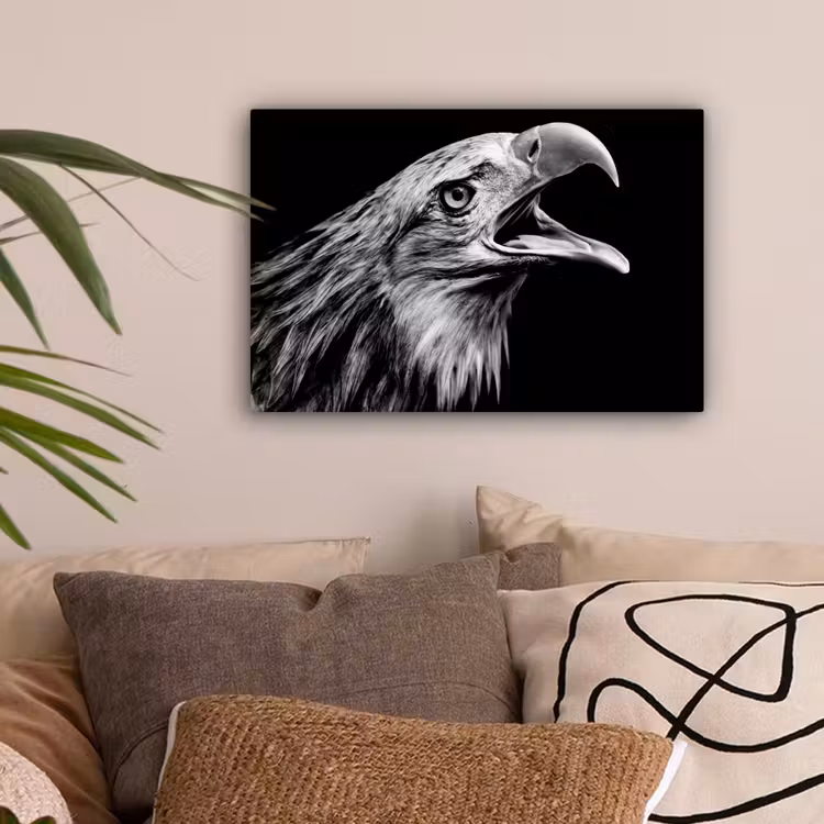 Adelaar - Portret - Roofvogels - Zwart - Wit - Vogel canvas 2cm klein -sfeer1