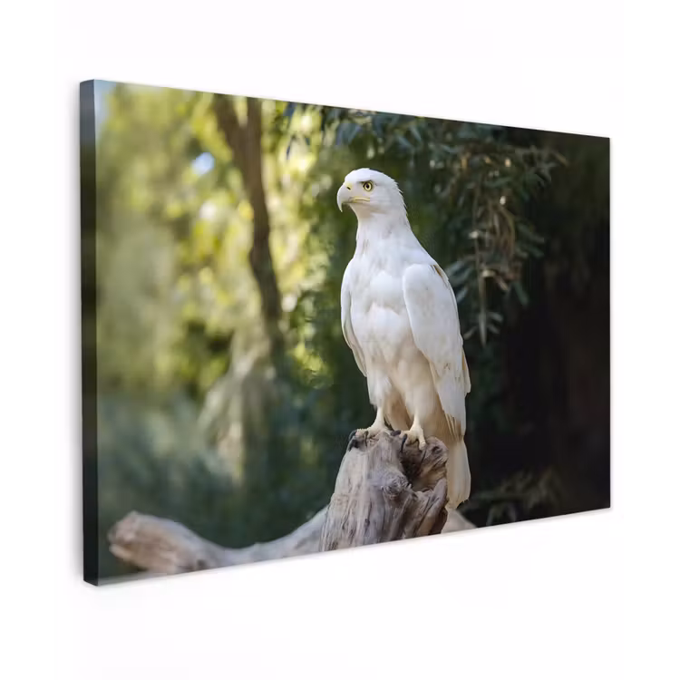 Arend - Hout - Wit - Planten canvas 2cm klein -z3d