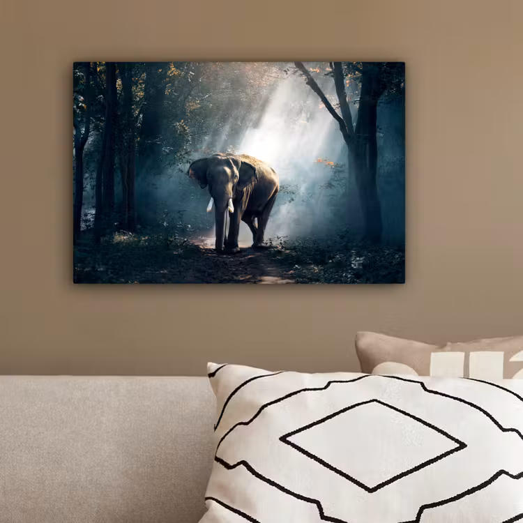 Olifant - Dieren - Licht - Bos - Natuur - Wilde dieren canvas 2cm klein -sfeer3