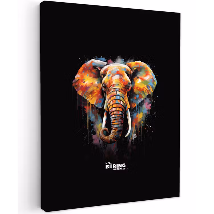 Olifant versierd met kleurrijke spetters canvas 2cm klein -z3d