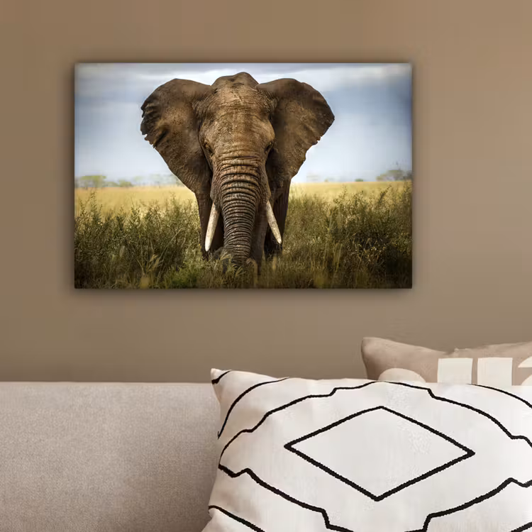 Olifant - Natuur - Gras - Dieren - Landschap canvas 2cm klein -sfeer3