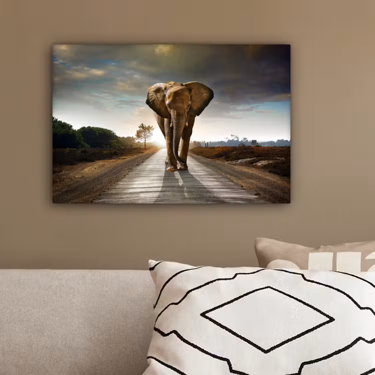 Olifant - Weg - Dieren - Zonsondergang - Landschap canvas 2cm klein -sfeer3