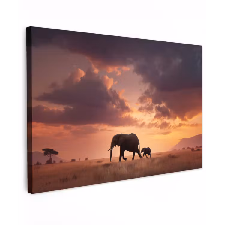 Olifanten - Grasland - Zonsondergang canvas 2cm klein -z3d