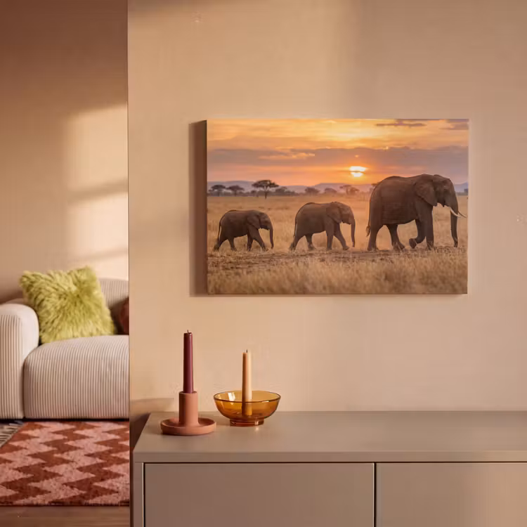 Olifanten - Savanne - Zonsondergang - Afrika - Warm canvas 2cm klein -sfeer1