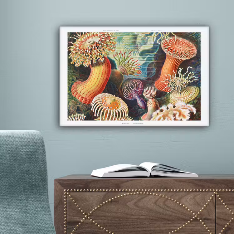 Ernst Haeckel - Anemoon - Retro - Natuur - Planten - Zee canvas 2cm klein -sfeer4