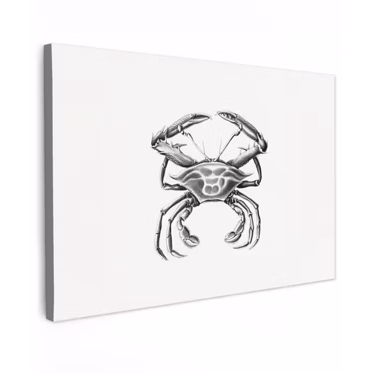 Ernst Haeckel - Vintage - Kunst - Krab canvas 2cm klein -z3d