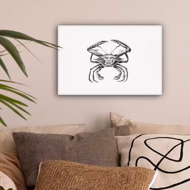 Ernst Haeckel - Vintage - Kunst - Krab canvas 2cm klein -sfeer1